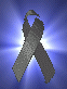 grey_ribbon_shiny.gif (5265 bytes)